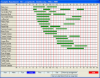 Schedules in Bar Graph Format